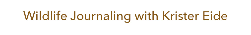 WildlifeJournaling.com
